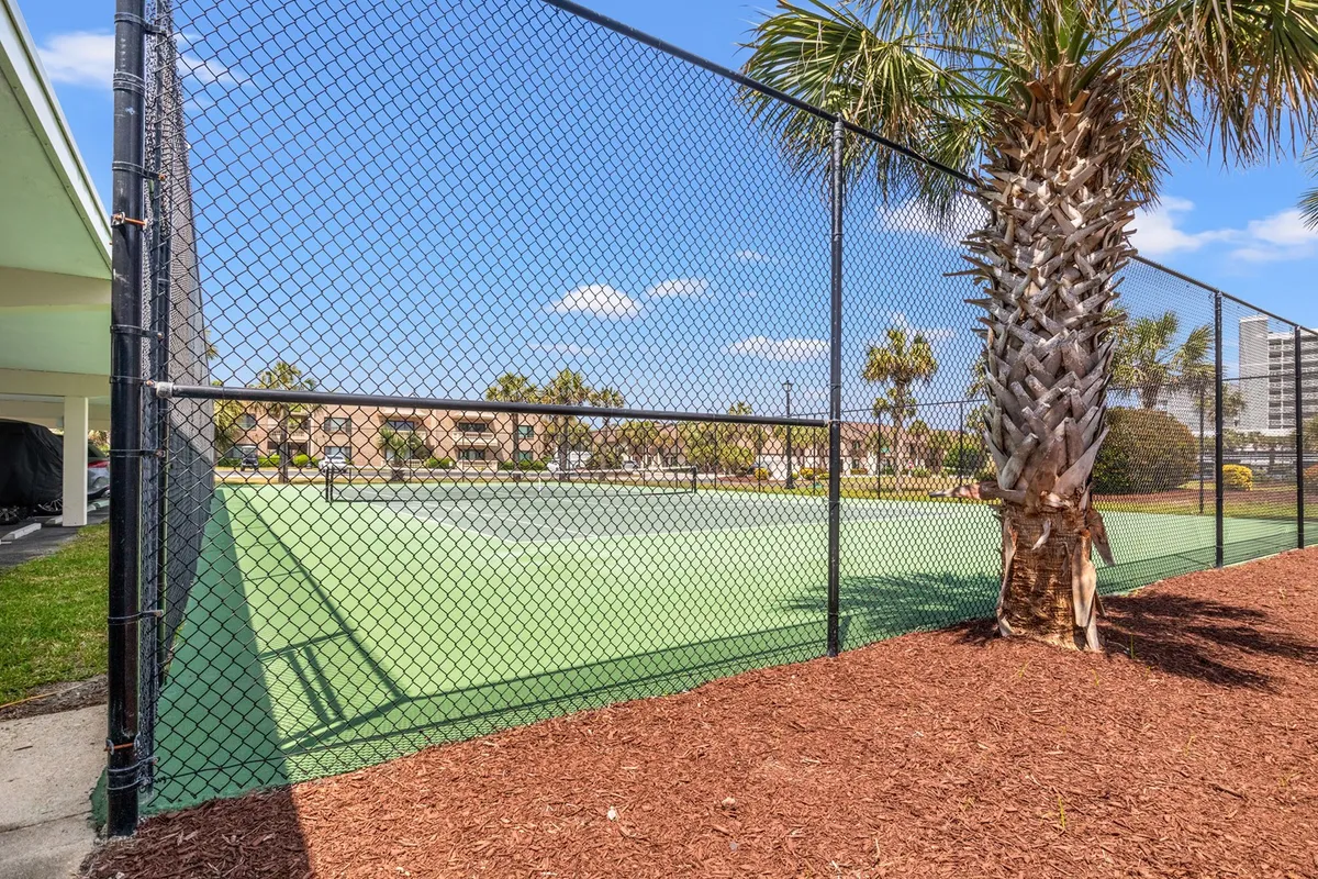 A sunlit tennis court is surrounded by palm trees and enclosed by a fence. The setting is vibrant, active, and inviting—ideal for friendly matches and energetic social gatherings under the open sky.
